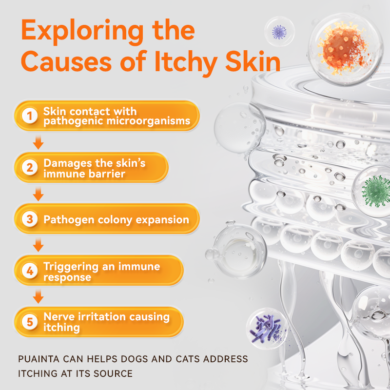 Puainta® Quantum Silver Hautspray für Hunde/Katzen 