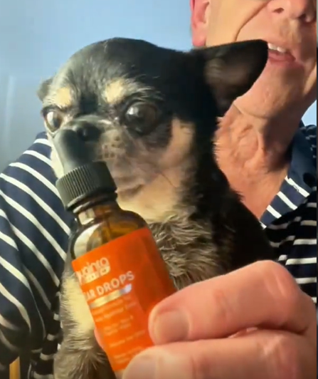 Pet parent review image