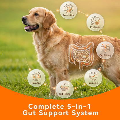 Puainta® Dual-Action Pet Probiotics