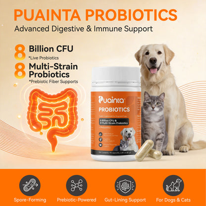 Puainta® Probiotic for Dogs & Cats - Digestive & Immune Support