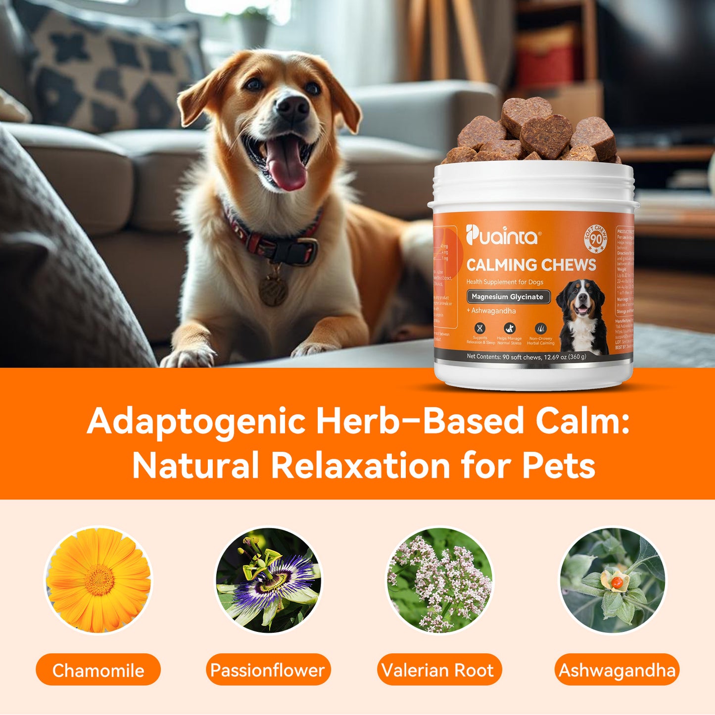 Puainta Calming Chews for Dogs – Natural Stress & Anxiety Support