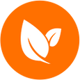 Sustainable Production
