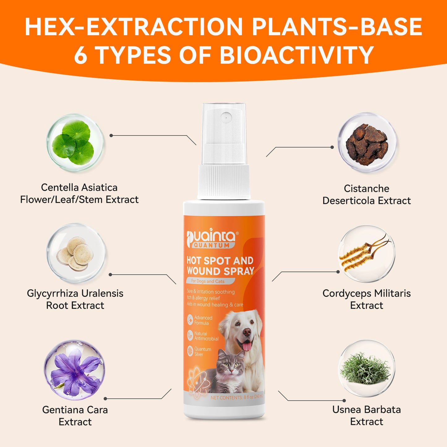 Puainta® Hot Spot Spray for Dogs & Cats – Itch Relief Skin Care Spray
