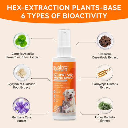 Puainta® Hot Spot Spray for Dogs & Cats – Itch Relief Skin Care Spray