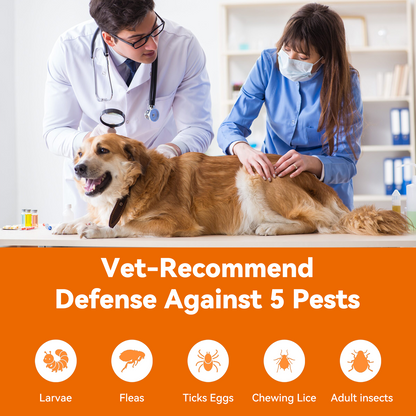 Puainta ADDCOOL Plus Dog Flea & Tick Treatment – Fast-Acting Protection