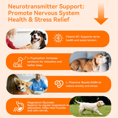 Puainta Calming Chews for Dogs – Natural Stress & Anxiety Support
