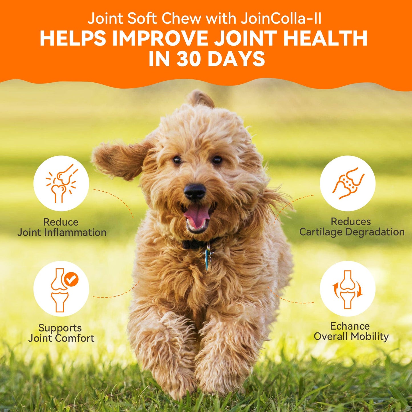 Puainta® Hip Joint Soft Chew for Dogs Supports Mobility