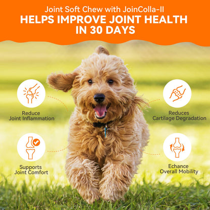 Puainta® Hip Joint Soft Chew for Dogs Supports Mobility