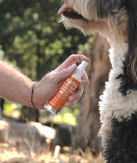 My dog used to scratch a lot because of dry skin and allergies, and his hair was a bit rough. After using this fish oil for a while, the hair becomes softer and shinier, and itching and hair loss are visibly reduced!