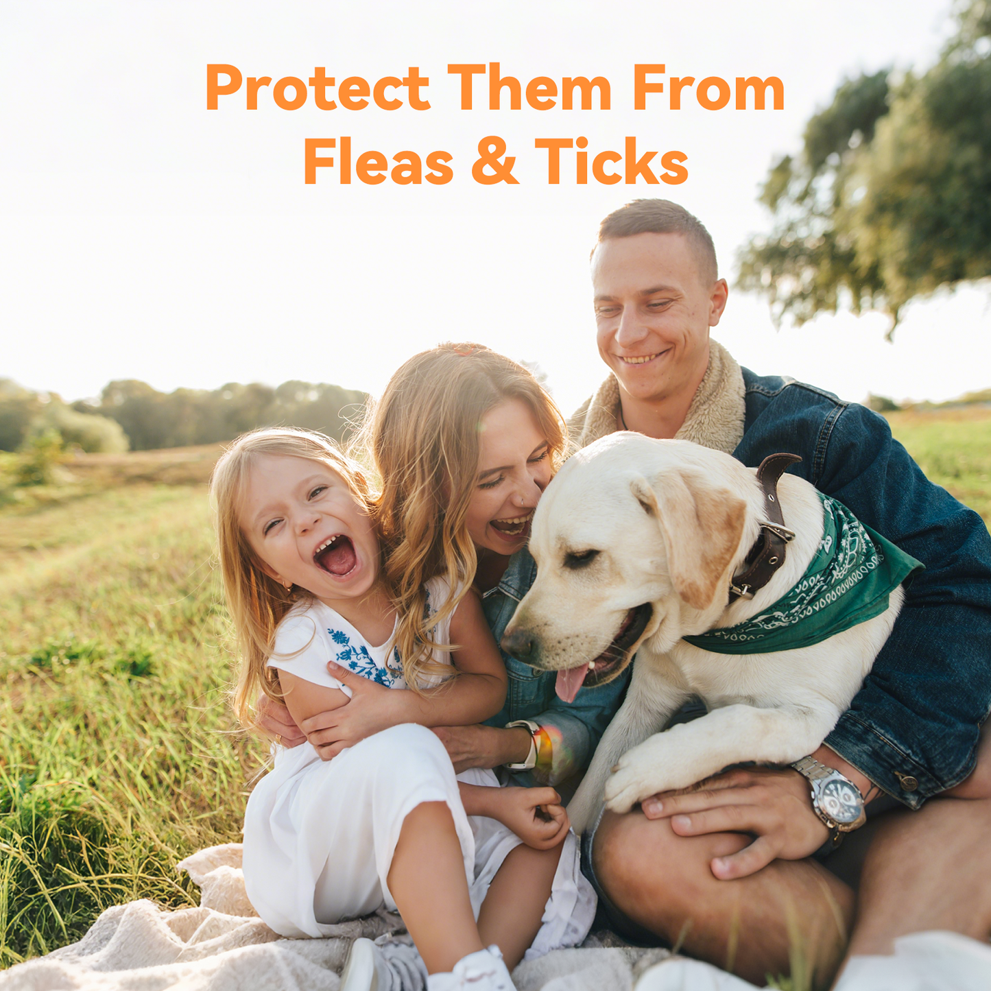 Puainta ADDCOOL Plus Dog Flea & Tick Treatment – Fast-Acting Protection