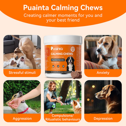 Puainta Calming Chews for Dogs – Natural Stress & Anxiety Support