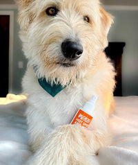 My dog's scaly, smelly mange was cured by this kit (spray, gel, and shampoo). Scratching stopped, and the scales/odor were significantly reduced within days. It worked wonders!