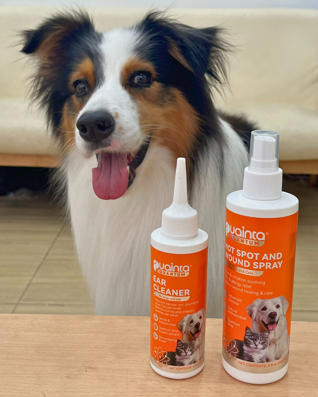 Pet parent review image