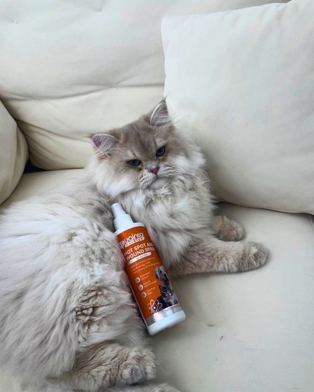 Pet parent review image