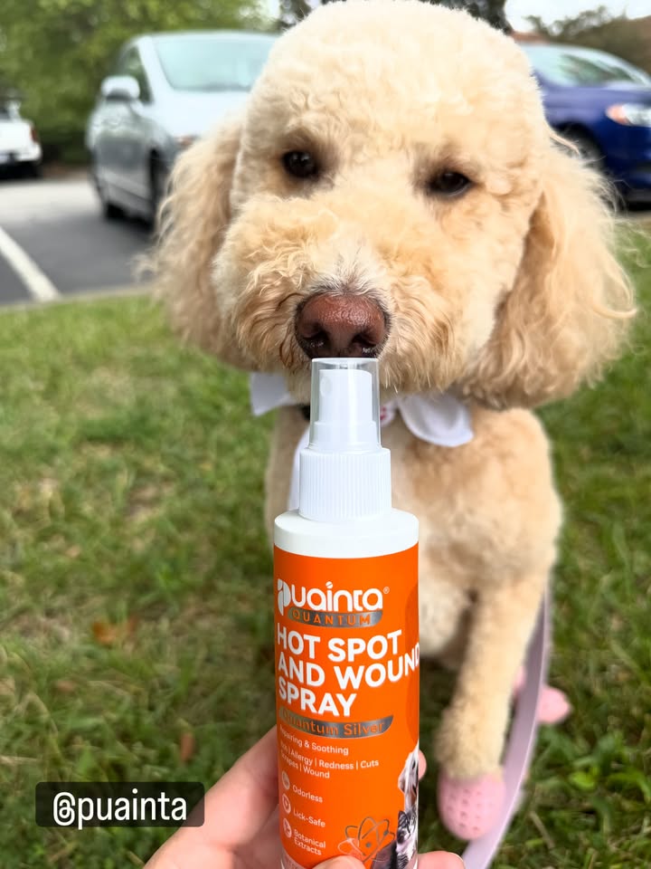 Pet parent review image