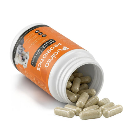 Puainta® Dual-Action Pet Probiotics
