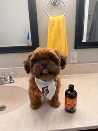 The shower gel in the set has a natural aroma, is not pungent, and can effectively cover up pet odors. However, the fragrance remains for a short time and usually disappears after three days.