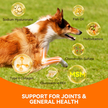 Puainta® Hip Joint Soft Chew for Dogs Supports Mobility