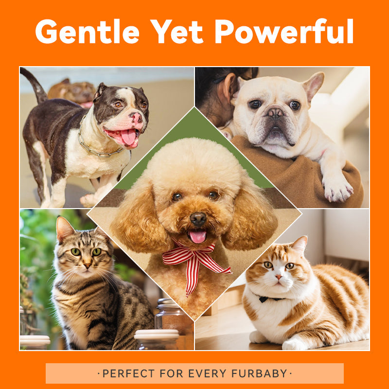 Puainta Banov Shampoo für Hunde &amp; Katzen – Sanfte Linderung bei empfindlicher und juckender Haut 