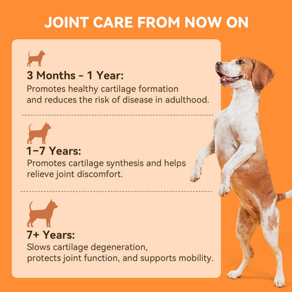 Puainta® Hip Joint Soft Chew for Dogs Supports Mobility