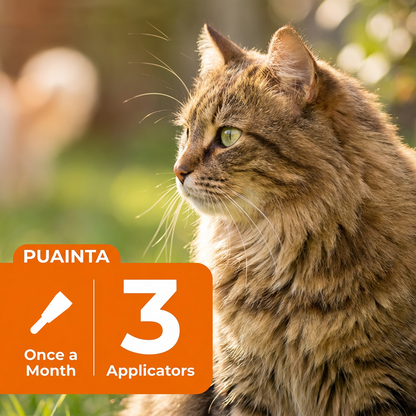 Puainta ADDCOOL Plus Cat Flea & Tick Treatment – Fast-Acting Protection