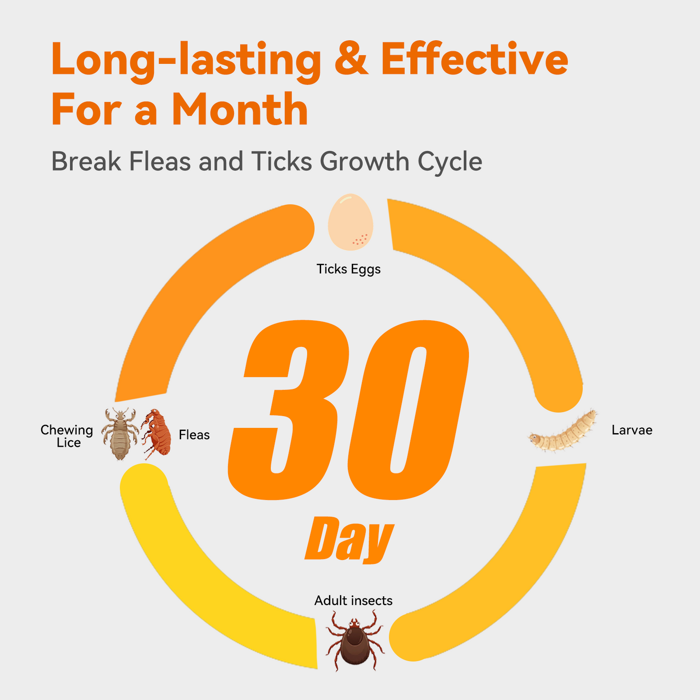 Puainta ADDCOOL Plus Dog Flea & Tick Treatment – Fast-Acting Protection