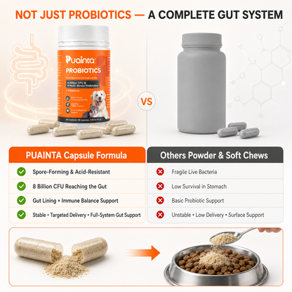 平常益生菌Puainta® Probiotics for Dogs & Cats – Digestive & Gut Health Support