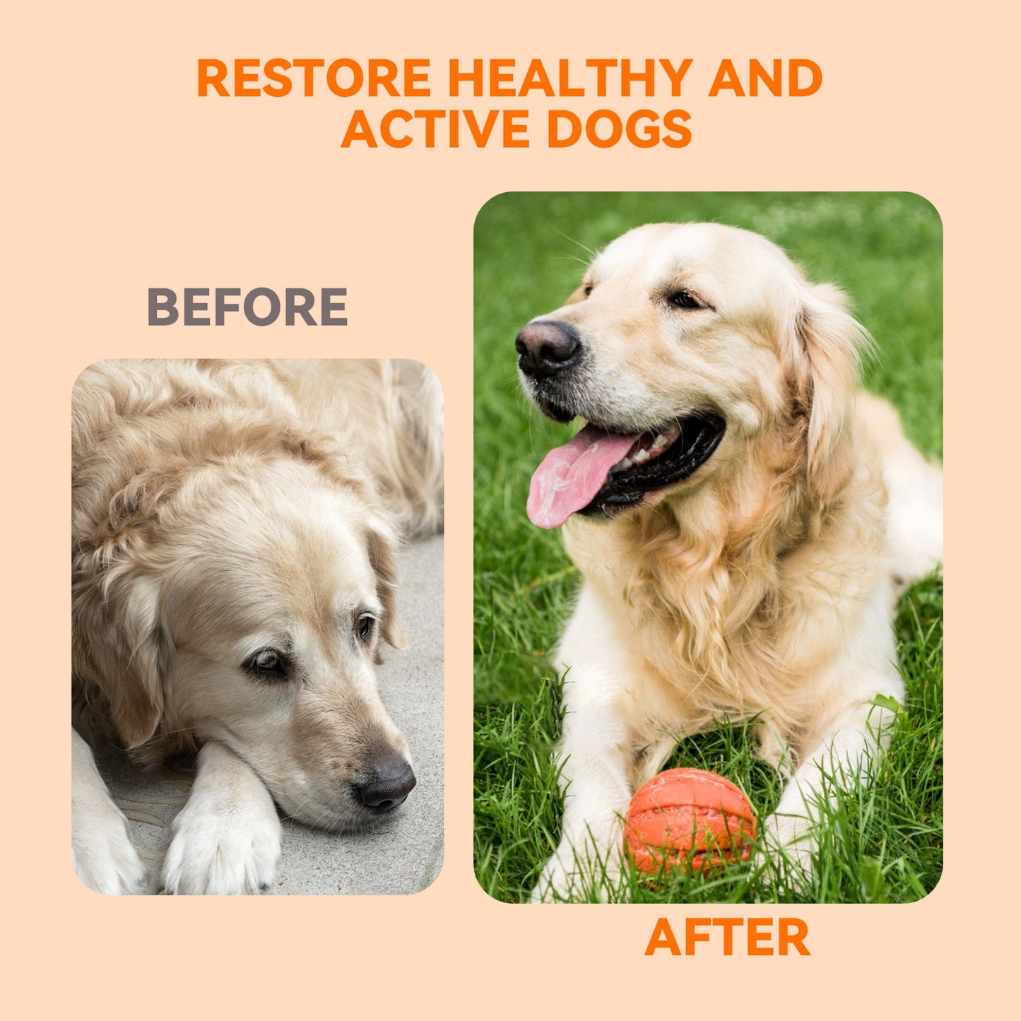 Puainta® Hip Joint Soft Chew for Dogs Supports Mobility
