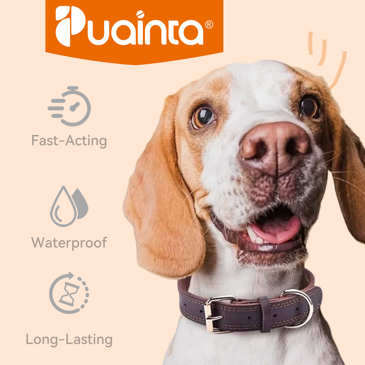 Puainta ADDCOOL Plus Dog Flea & Tick Treatment – Fast-Acting Protection