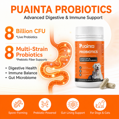 平常益生菌Puainta® Probiotics for Dogs & Cats – Digestive & Gut Health Support
