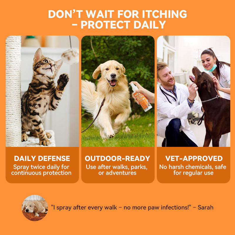 Puainta® Quantum Silver Hautspray für Hunde/Katzen 