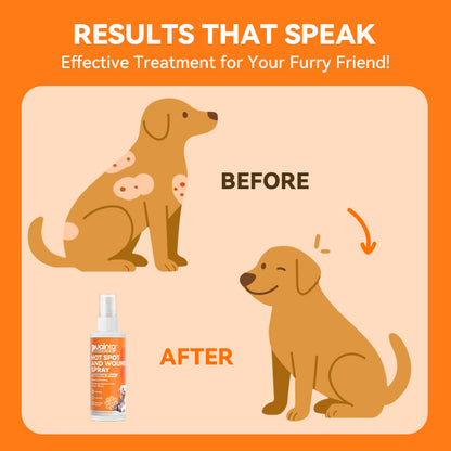 Puainta® Quantum Silver Hautspray für Hunde/Katzen 