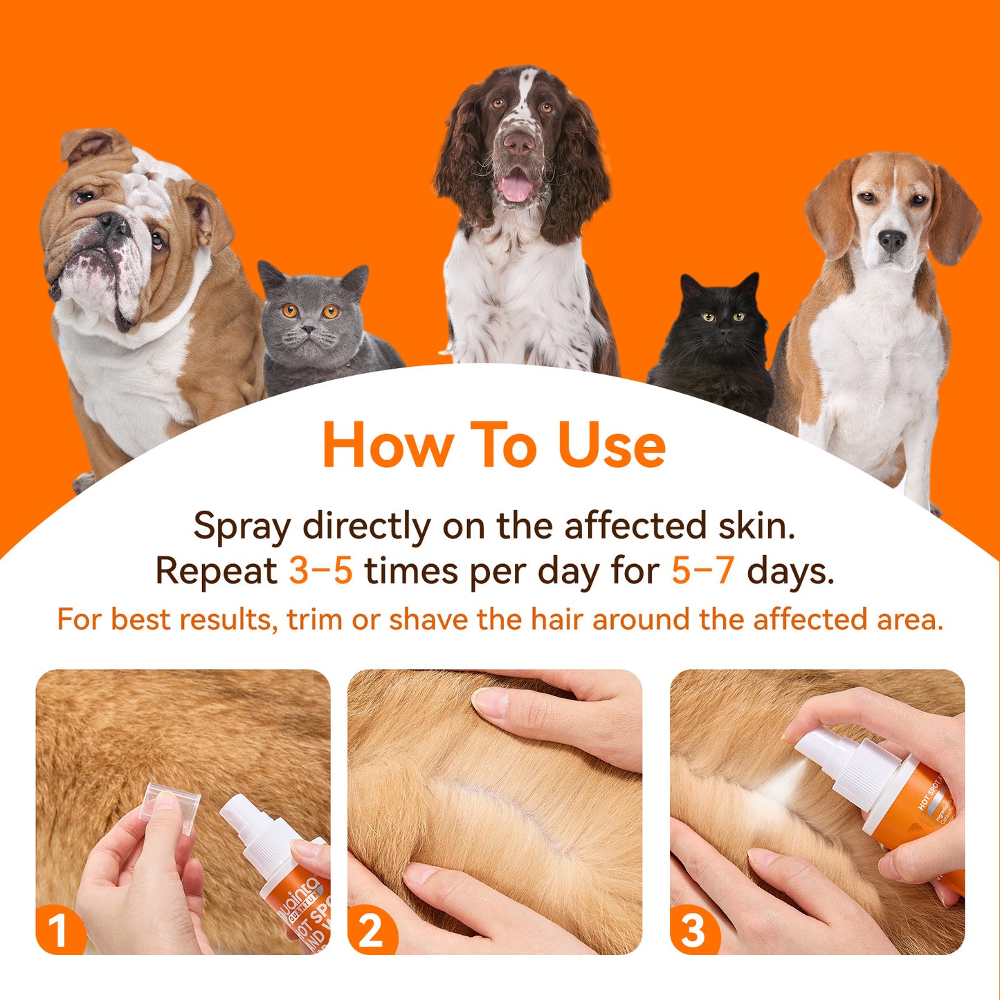 Puainta® Quantum Silver Skin Spray for Dogs and Cats