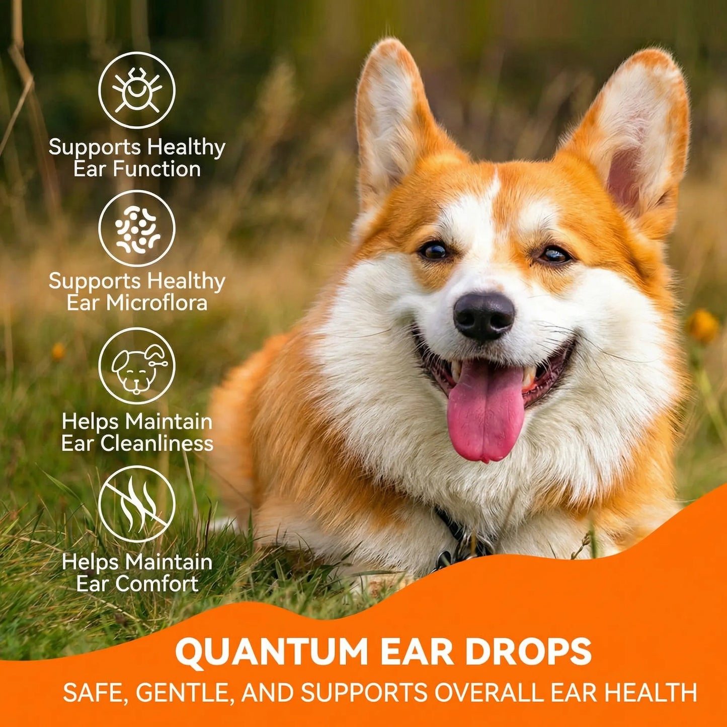 Puainta Quantum Silver Ear Drops for Dogs & Cats – Gentle Ear Care Solution
